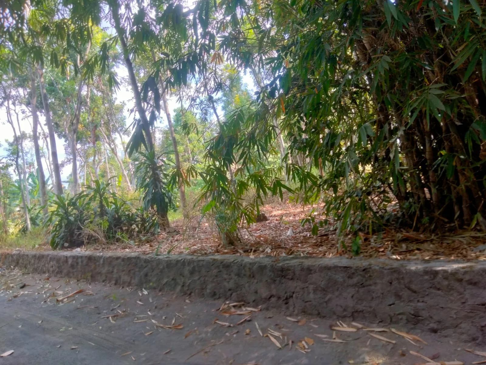 Tanah 1585 m² di Randusari
